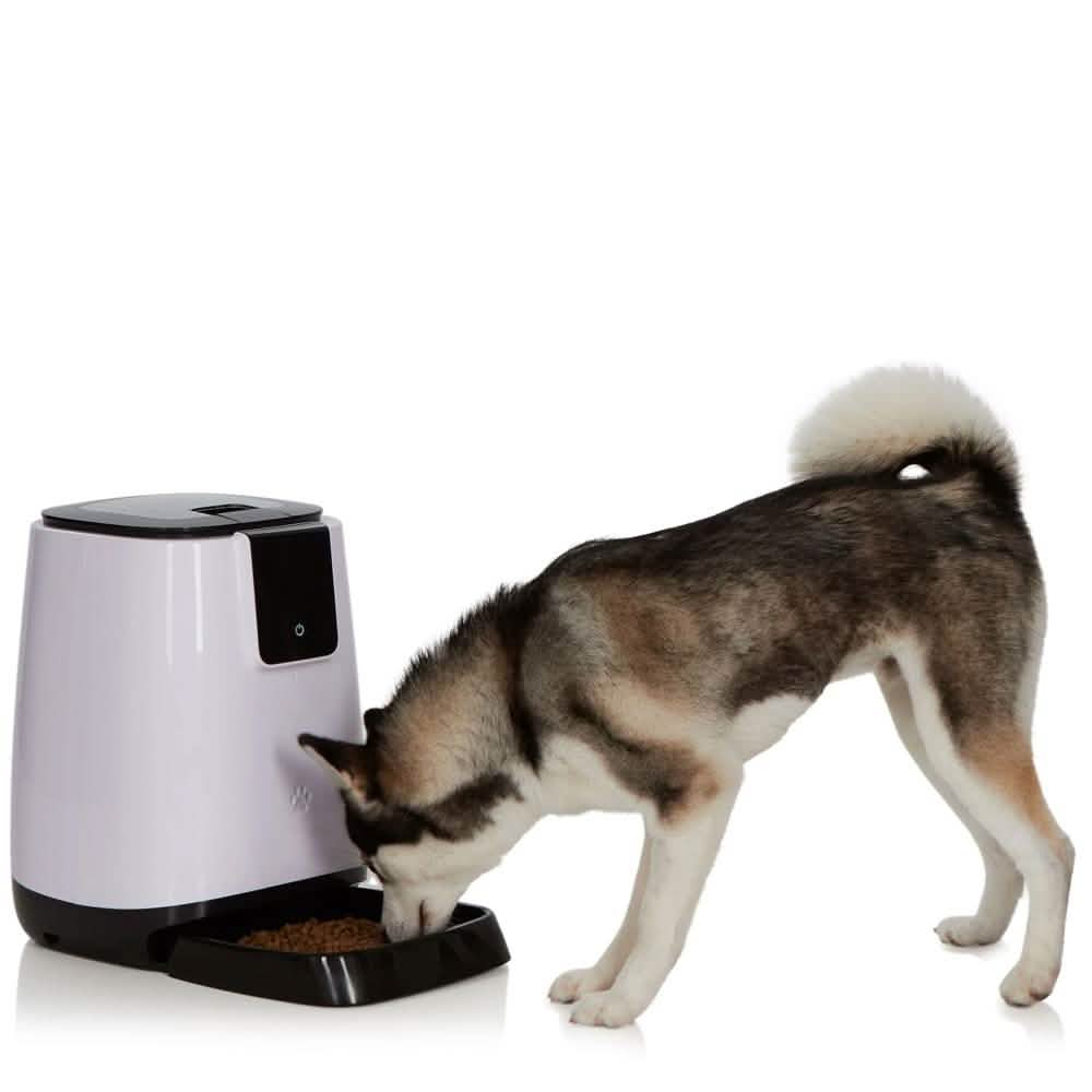 Comedero Automático Inteligente para Mascotas | Programable y Fácil de Usar