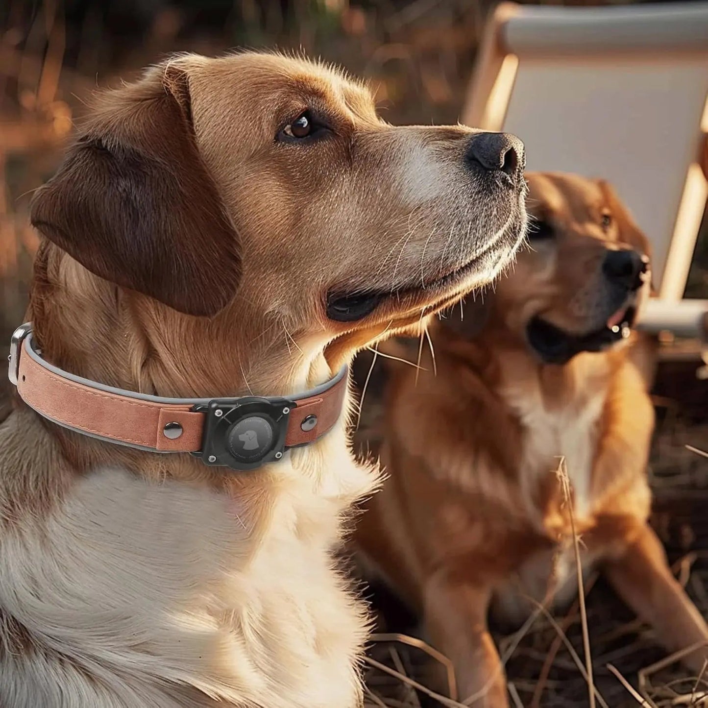 Collar de Cuero para Perro con Porta AirTag Integrado | Diseño Reflectivo Ajustable