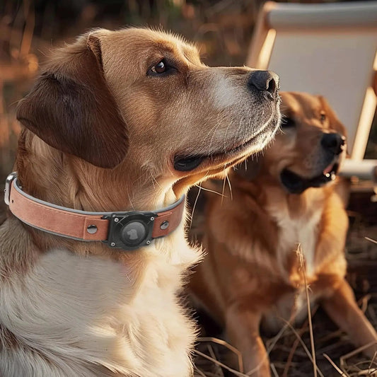 Collar de Cuero para Perro con Porta AirTag Integrado | Diseño Reflectivo Ajustable