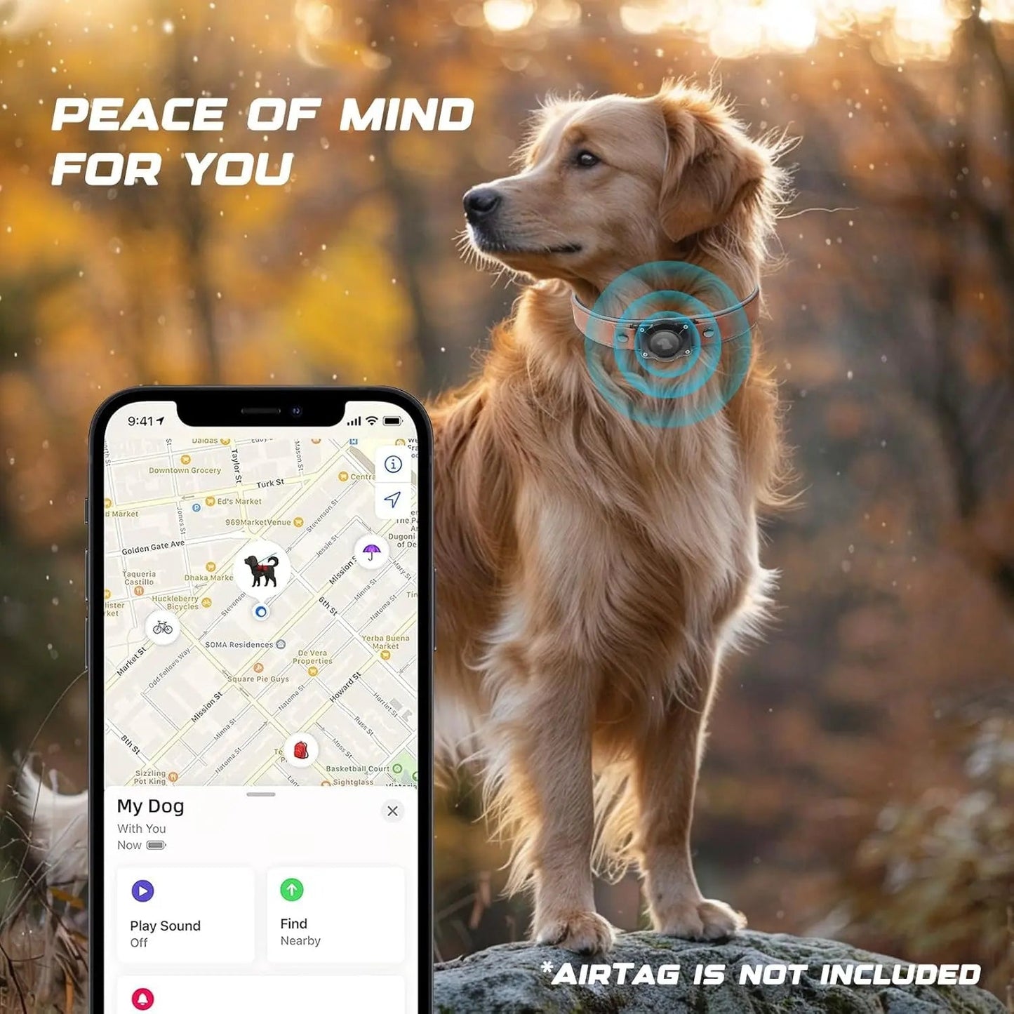 Collar de Cuero para Perro con Porta AirTag Integrado | Diseño Reflectivo Ajustable
