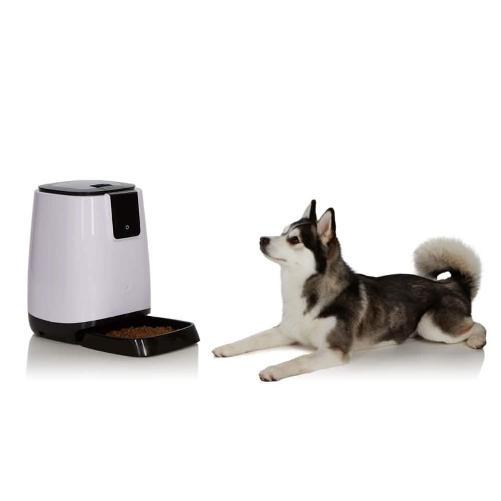 Comedero Automático Inteligente para Mascotas | Programable y Fácil de Usar