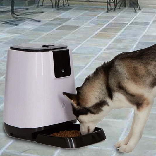 Comedero Automático Inteligente para Mascotas | Programable y Fácil de Usar